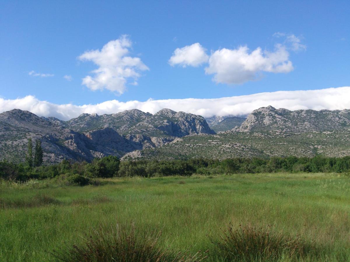 Apartments Amari Starigrad Paklenica Ngoại thất bức ảnh